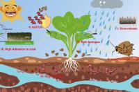 Chinese scientists develop new nanoparticles to make pesticides more efficient