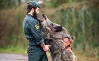Spain’s elite Guardia Civil unit welcomes a new colleague with a wild side