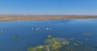 Inner Mongolia aims to further advance high-quality green development following Xi's inspection trip