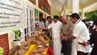 Gothrajyothi meet brings together 300 Adivasi farmers in Wayanad