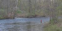 Volunteers help conserve wildlife along the Batten Kill
