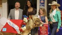 Mississippi State Fair’s Pretty Cow Contest showcases youth creativity