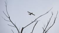 Romania shoots down two drones over the Black Sea; NATO is urgently summoned.