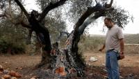 Israeli settlers attack European diplomats, beating French mayor