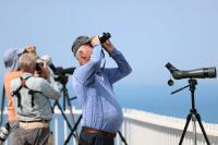 One million migrating raptors dodge illegal hunters above Georgia's Black Sea coast