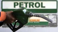 Petrol, Diesel Prices Today, October 18: Check Latest Rates In Delhi, Mumbai, Bengaluru And Other Cities