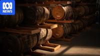 Amid whisky's global gloom Tasmania is still seizing 'amazing opportunities'