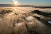 Is this Europe’s weirdest holiday? Bog swimming in Estonia