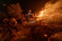 Nevada senators urge crackdown on wildfire bets, cite public safety and insider trading fears