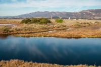Santa Barbara Airport Seeks Public Feedback on Climate Adaptation Plan