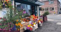 My 140-mile food trip through Co Down: the cafés, farm shops and restaurants worth making a journey for