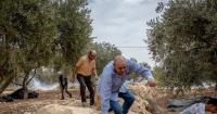 Israeli settlers attack Palestinians and European diplomats in West Bank