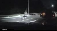 Kazakh national arrested for threatening driver on street