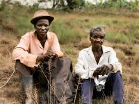 What Carbon Markets Really Mean for Smallholder Farmers in Africa