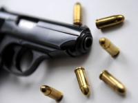 Swiss court denies James Bond fan a silencer
