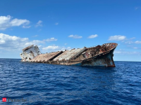 Florida sinks abandoned 227-foot ship to create artificial reef off Atlantic coast; How the Borocho ship helps rebuild marine life