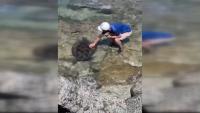 US Tourists Probed for Touching Protected Sea Turtle in Taiwan