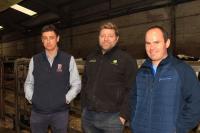 Buoyant trade as dairy stock tops 4,400gns at Dungannon
