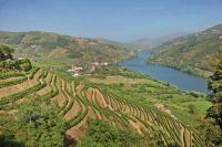 Rick Steves’ Europe: Savoring the scenery — and port — of Portugal’s Douro Valley