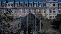 Poison and remedy: secrets of the botanic garden at Paris's Pharmacy Faculty