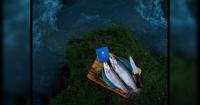 Khyber Aquaculture secures FSSAI approval, sets stage for packaged Himalayan trout business