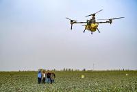 Xinjiang’s cotton fields nurturing new generation of tech-savvy farmers