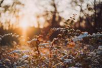 NOAA: El Niño will bring milder, drier late fall, winter for Michigan