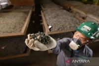 Prabowo-Gibran highlights energy achievements in first two years