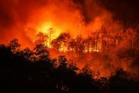 Forest fires significantly worsening across Africa’s tropical nations, data shows