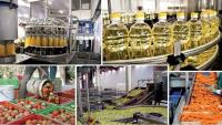 Food Industry Covers 62% of Jordan’s Local Market