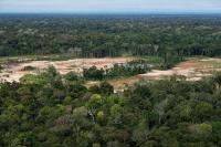 Associated Press Criminal networks threaten the Amazon. Indigenous leaders want the UN to act