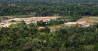 Criminal networks threaten the Amazon. Indigenous leaders want the UN to act