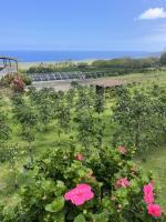 University of Hawaiʻi and Clemson to lead federal program to boost coffee, cacao production