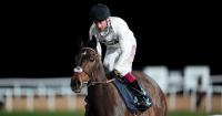 Constitution Hill on target for Italian job