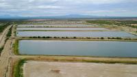 Colorado River cuts push Tucson to rethink water use plans