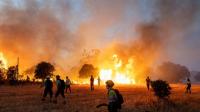 Scientists warn of another unseen risk from fire: Ozone