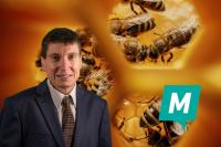 Momentum proposes national plan for bees protection in Malta