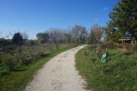 Milwaukee's Havenwoods State Forest Debuts Braille Trail Built for Blind Hikers
