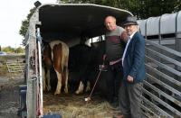 Local Notes: Wedding Bells, Flourishing Tourism, County Finalists