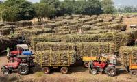 Oil companies exclude sugar-based ethanol from 2026-27 procurement tender