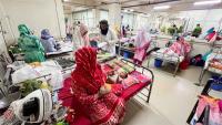 Bangladesh measles outbreak toll rises to 1,196, over 2.13 lakh suspected cases