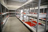 Costa Rica Hands Four Suspects to US in Three Days as US Embassy Praises New Prison