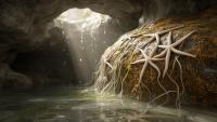 Diatom Biofilm Feeds Rare Cave Brittle Stars