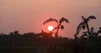 White mist, green fields and golden sunsets: Late autumn in rural Bangladesh