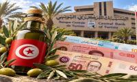 Tunisia: Central Bank urges banks to step up financing for olive oil sector