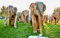 Letters: Election recommendations | The elephant(s) in the room | Patriotic apathy | School modernization | Thank you, firefighters