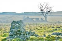 In England, children's teeth show medieval lead pollution rivaled industrial-era cities