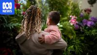 DV victim-survivors on temporary visas still 'at risk', advocates say