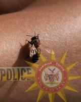 Community mourns retired principal killed by bees in Omusati