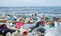 Forever Chemicals Must Not Mean Forever Impunity -By Fransiscus Nanga Roka